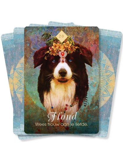 Image for boodschappen-van-de-dieren-orakelkaarten_3.jpg