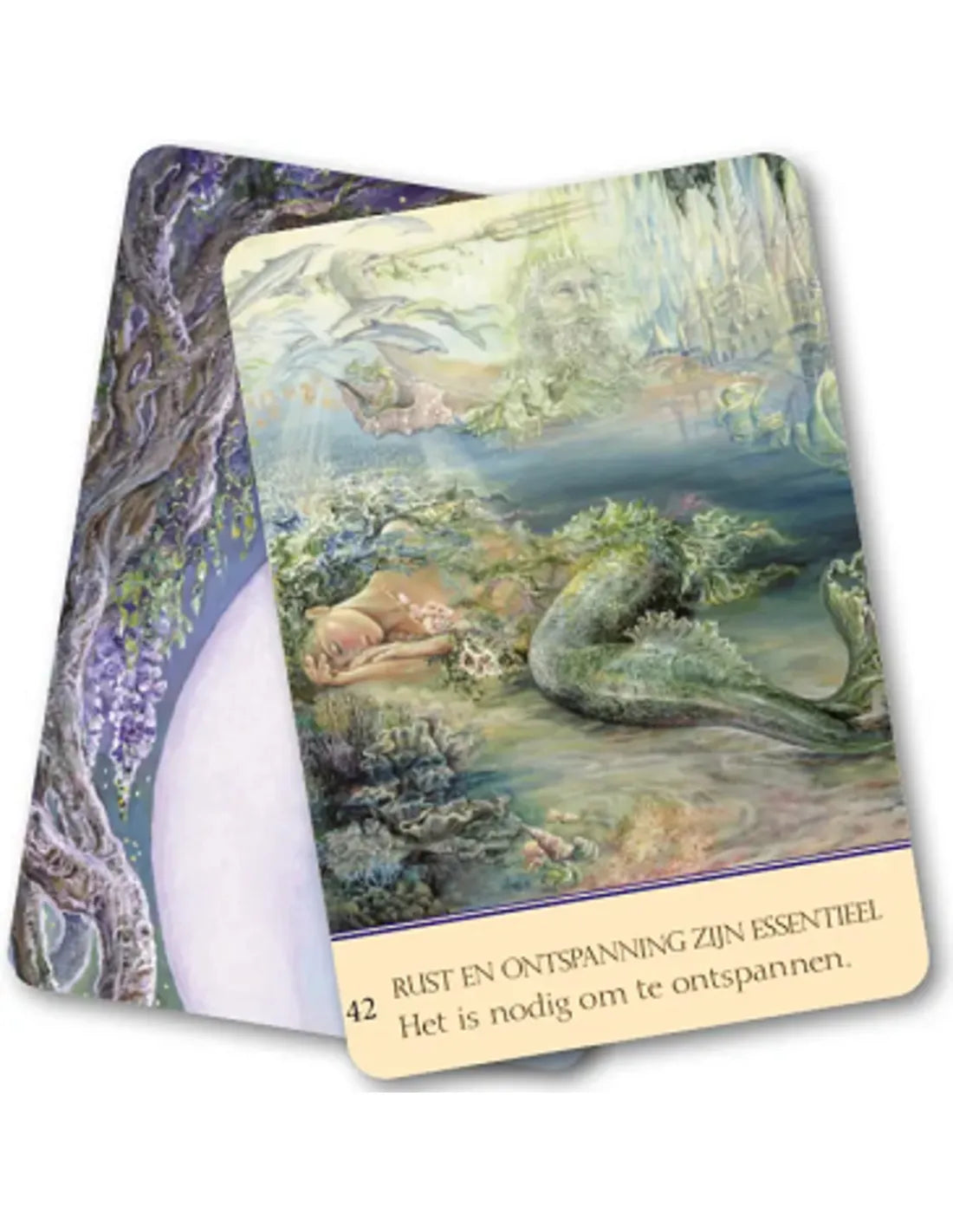 Inzichtkaarten Fluisteringen van Liefde