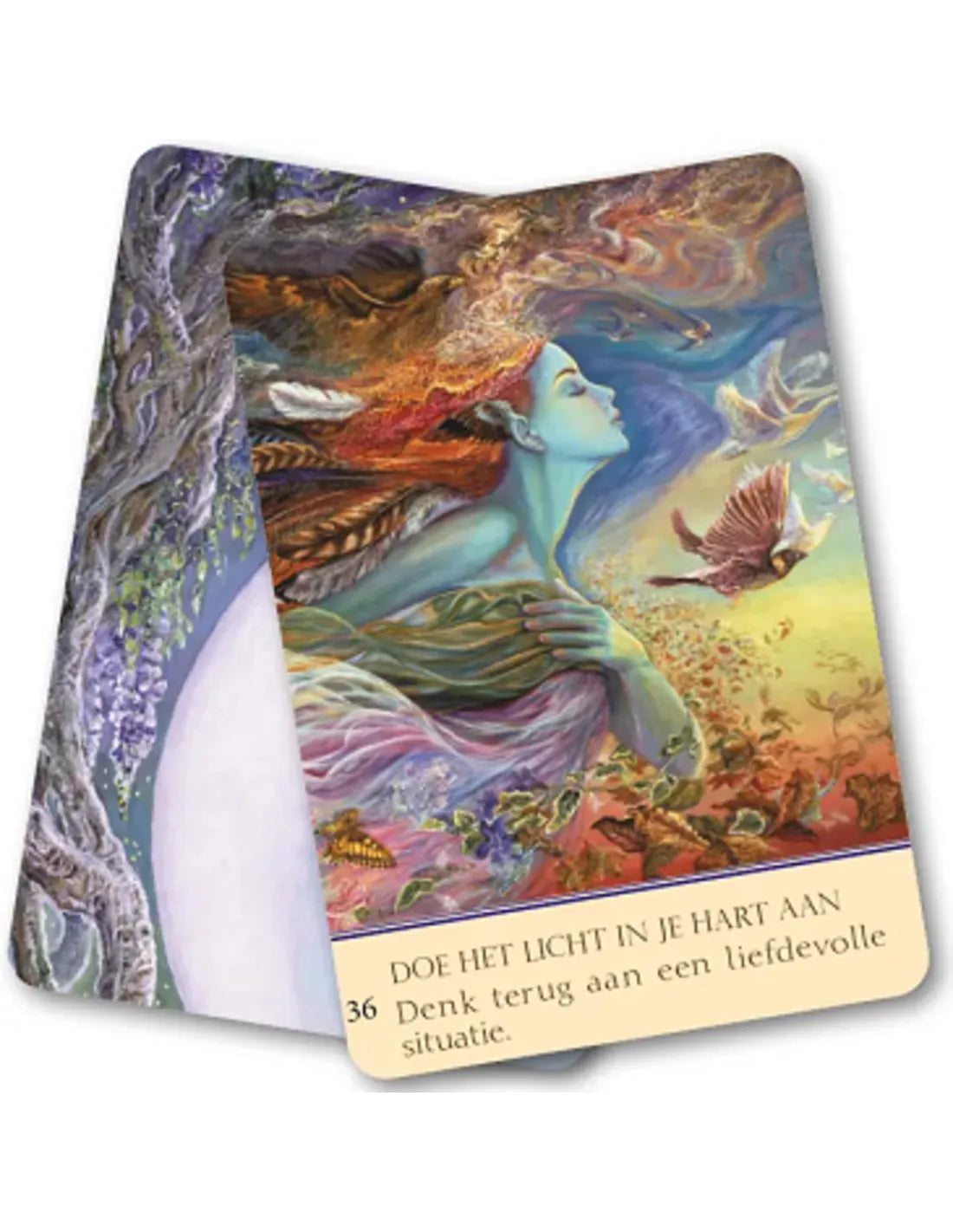 Inzichtkaarten Fluisteringen van Liefde