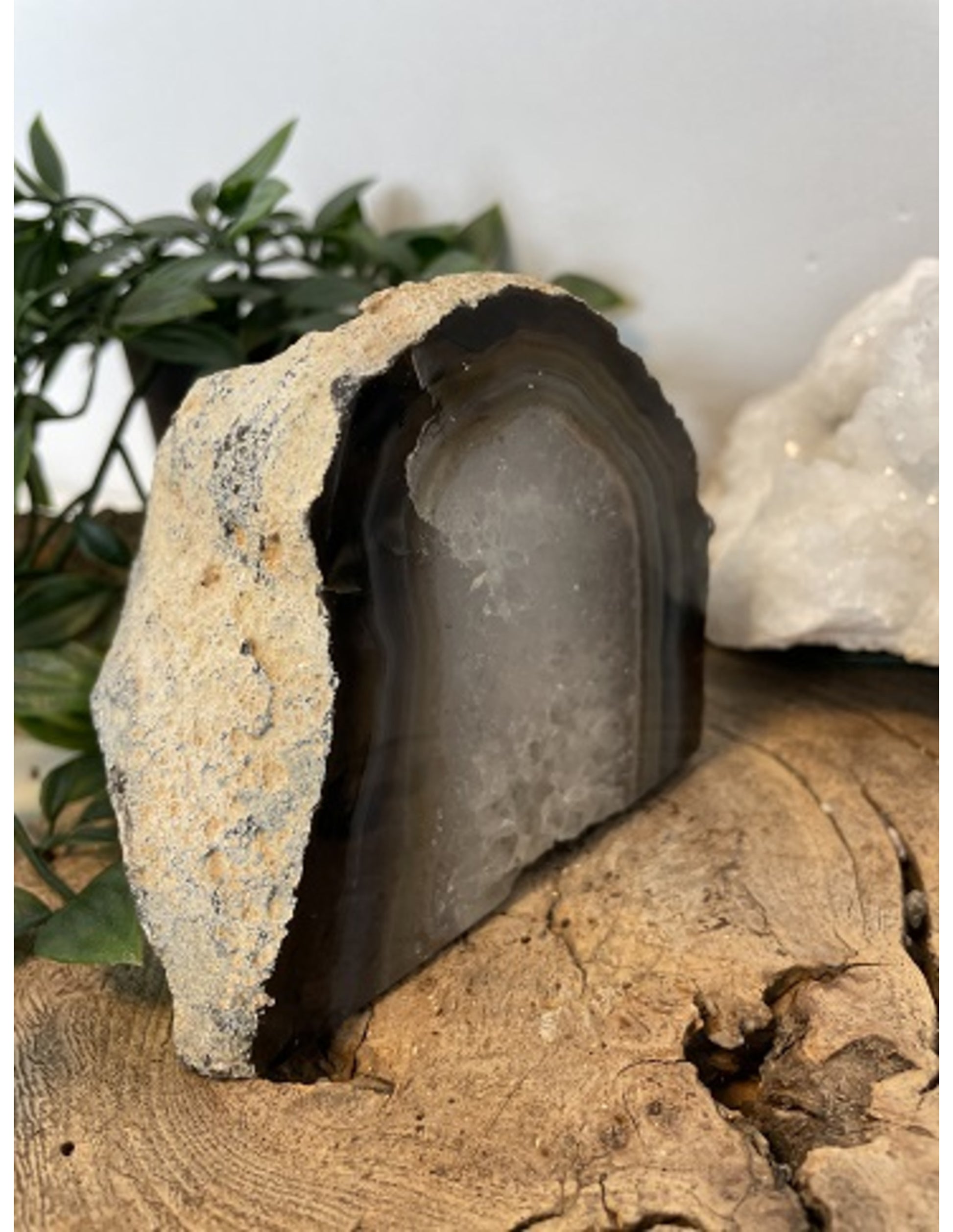 Image for theelichthouder-agaat-natuur_1.jpg