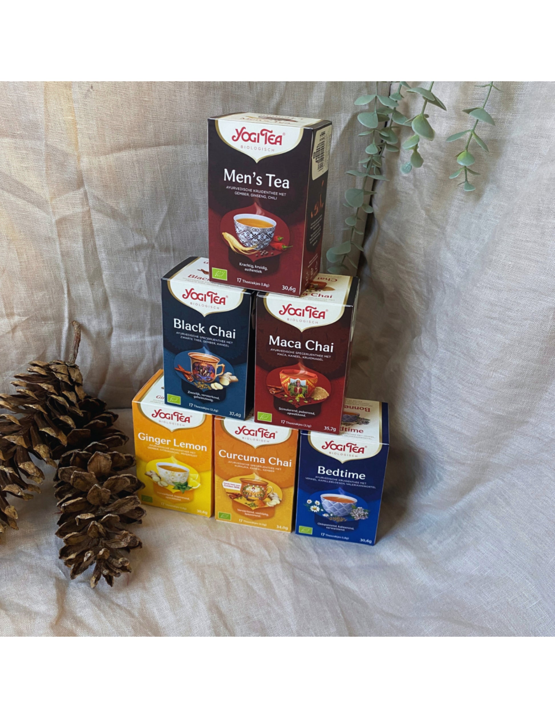 Image for yogi-tea-de-6-beste-smaken-voor-de-mannen-6-pakjes-van-17-theezakjes_4.jpg