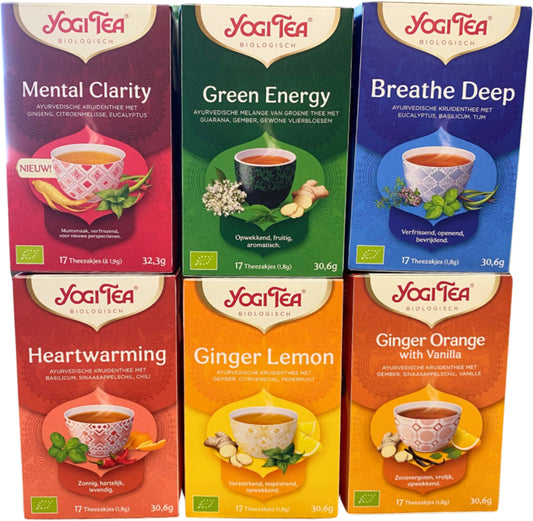 Image for yogi-tea-hot-n-cold-6-pakjes-x17-theezakjes.jpg