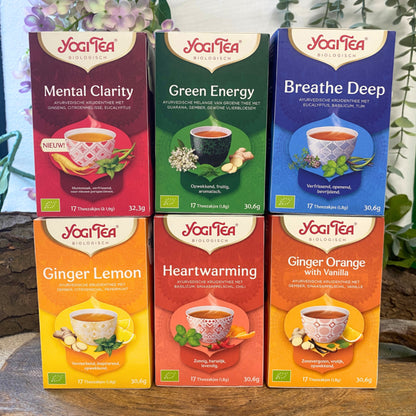 Image for yogi-tea-hot-n-cold-6-pakjes-x17-theezakjes_3.jpg