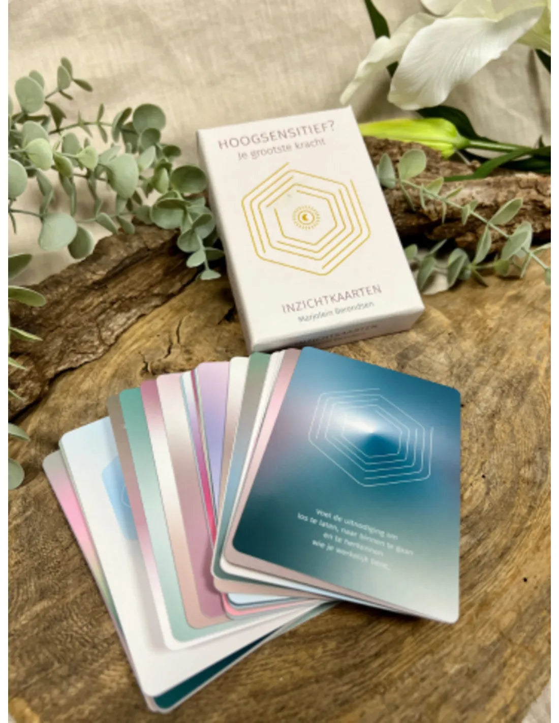 HSP Inzichtkaarten